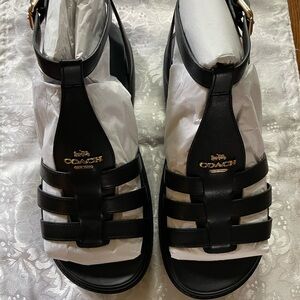 Coach Franny Sandal NWT
